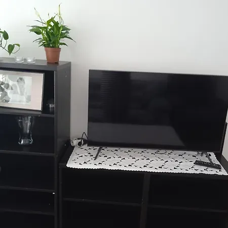Piso Acogedor , Playas, Acuario Y Centro Serca Apartment Gijon